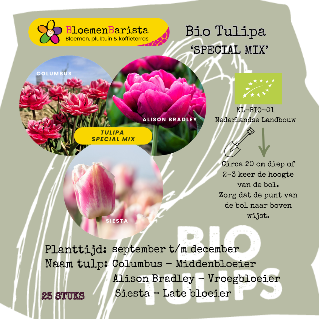 Bio Tulipa 'Special Mix' ~ 50 stuks
