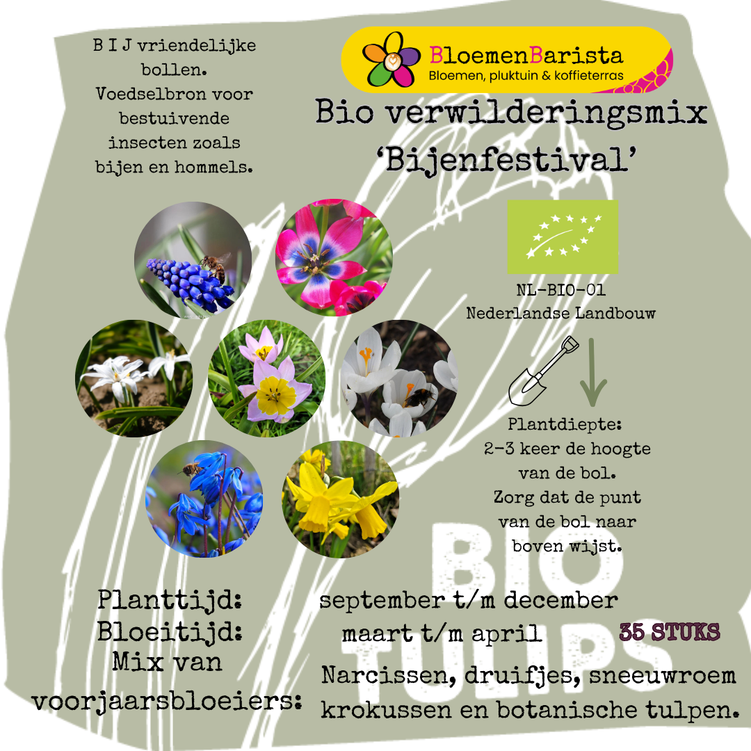 Verwilderingsmix 'Bijenfestival' 35 stuks