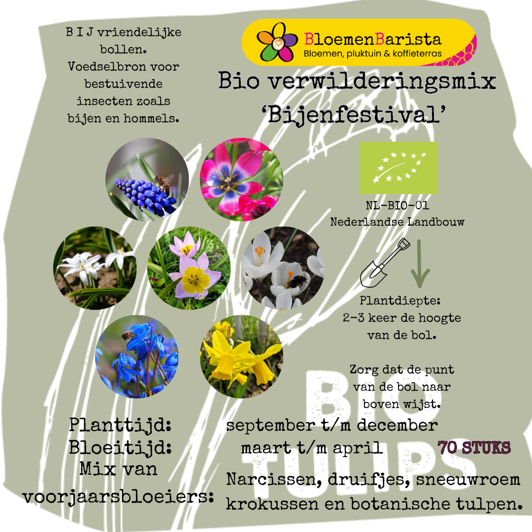Verwilderingsmix 'Bijenfestival' 70 stuks