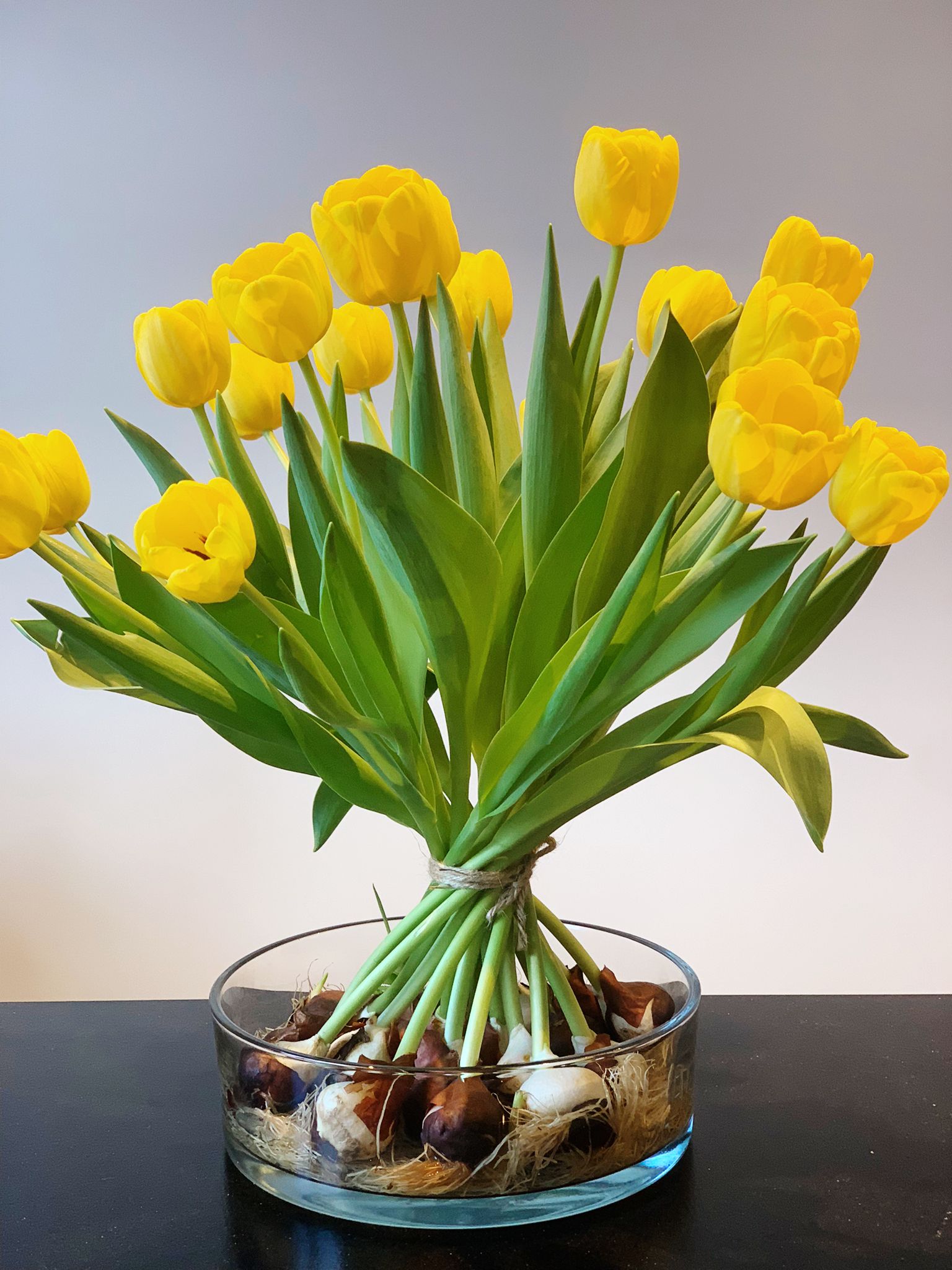 Tulpenschoof -  Gele biologische tulpen - 20 stuks met bol