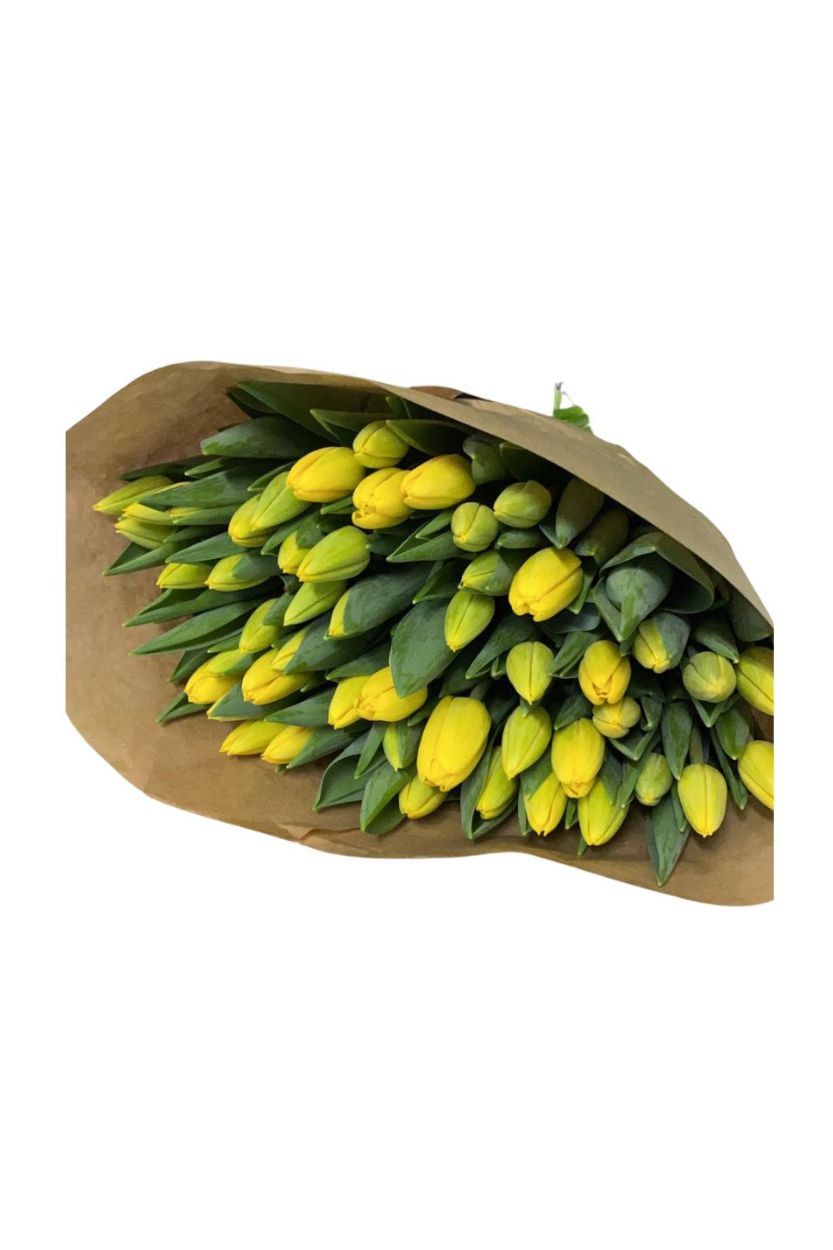 Gele biologische tulpen - Bos 30 stuks