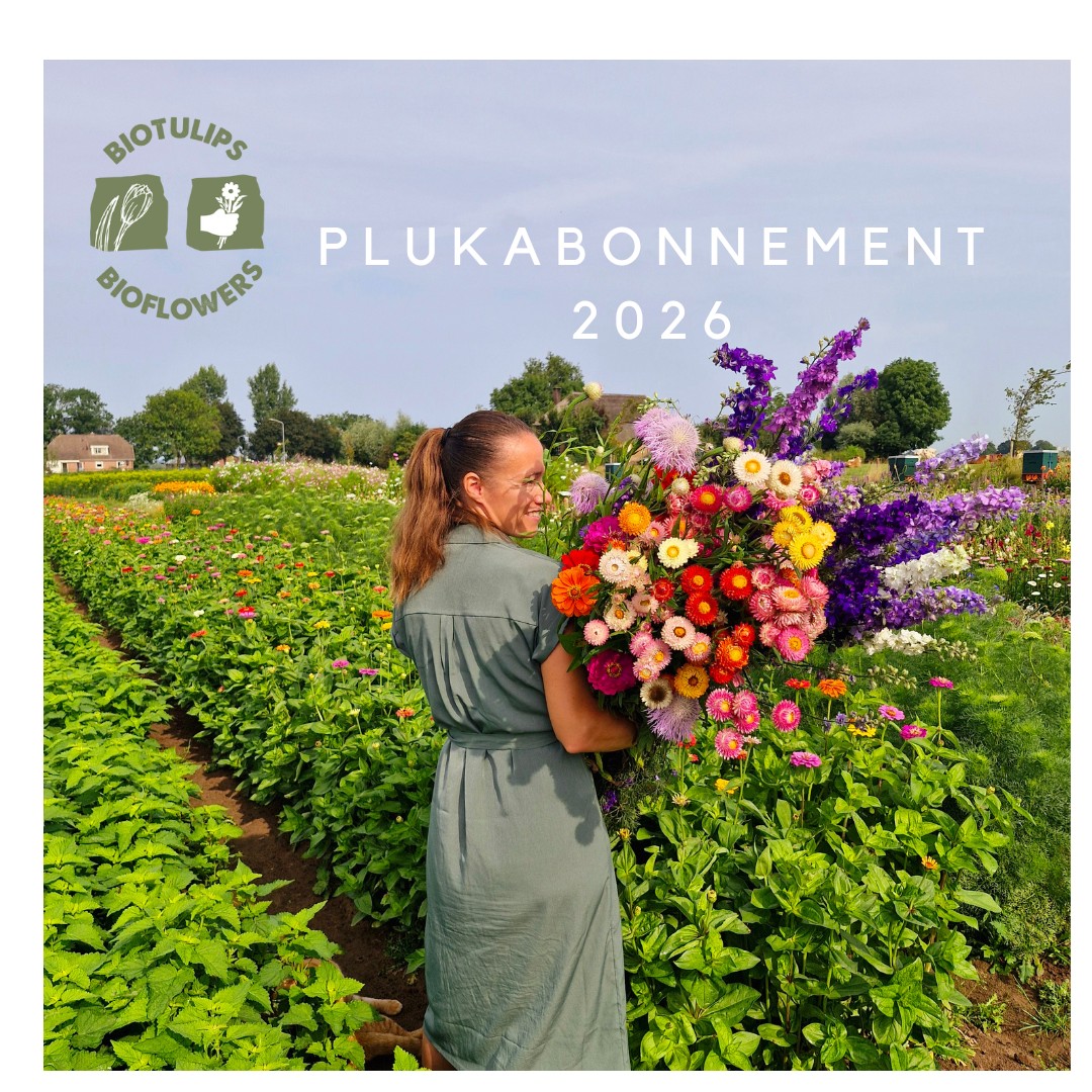 Seizoensabonnement Pluktuin 2026