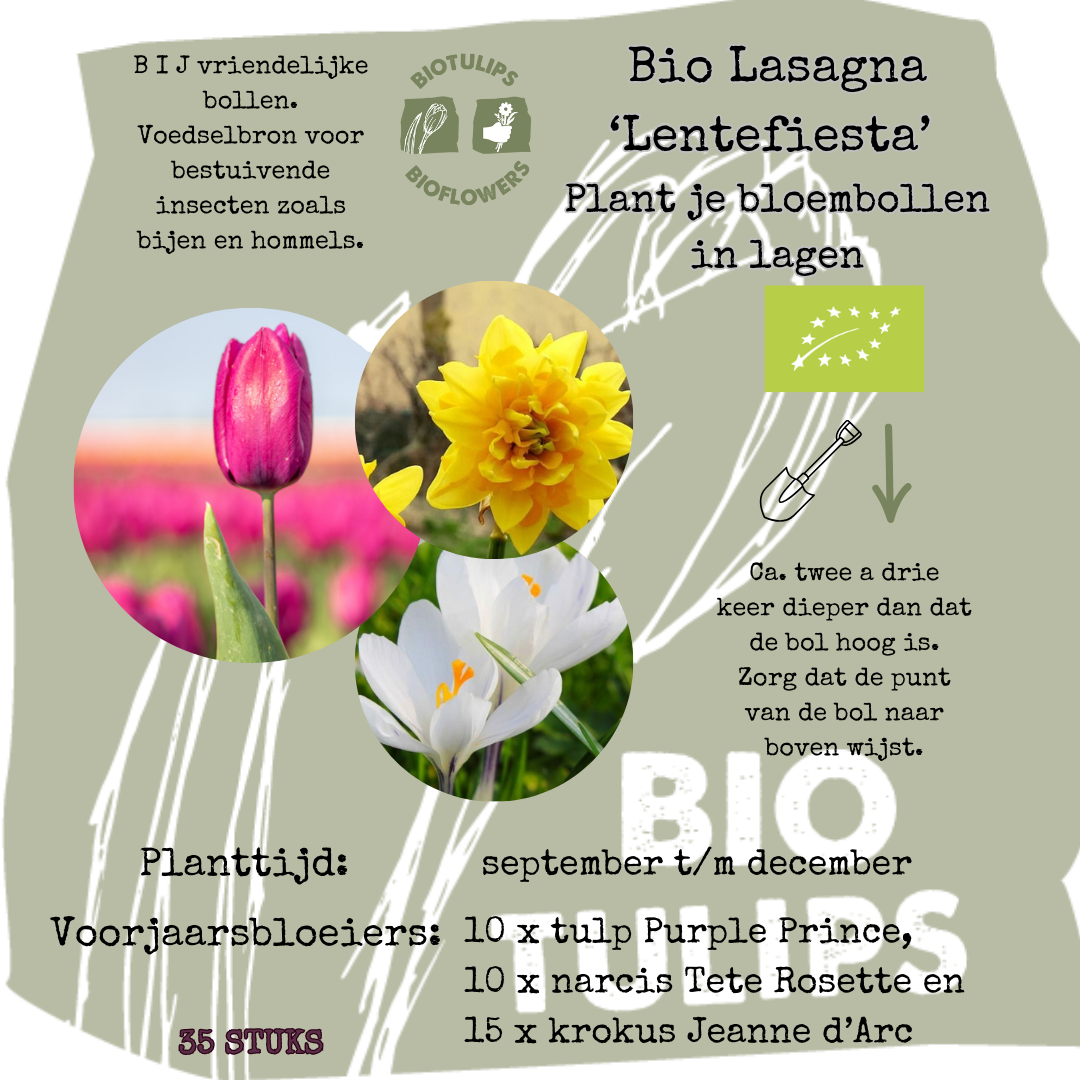 Bio Bloembollenlasagne 'LenteFiesta' - 35 stuks