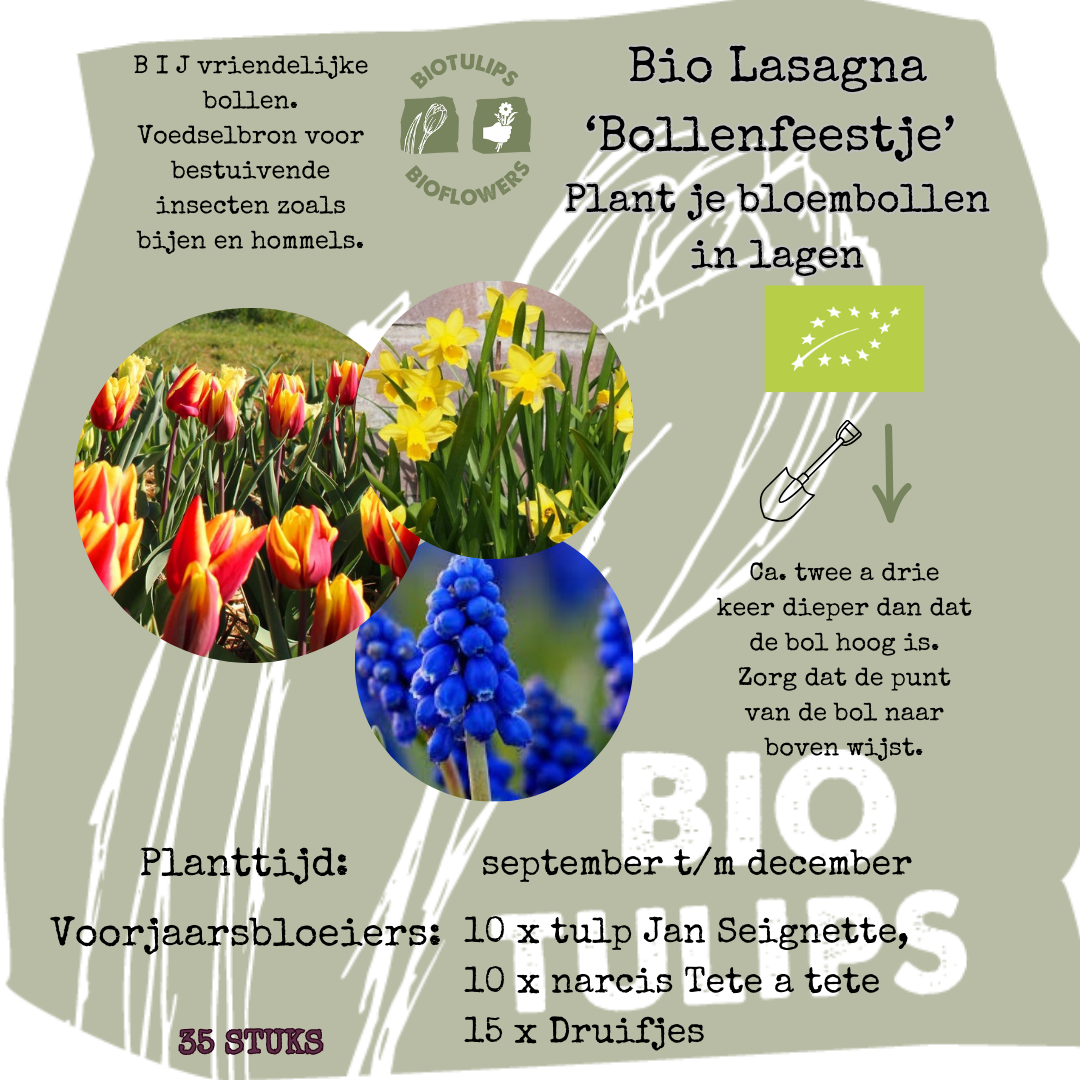 Bio Bloembollenlasagne 'Bollenfeestje' - 35 stuks