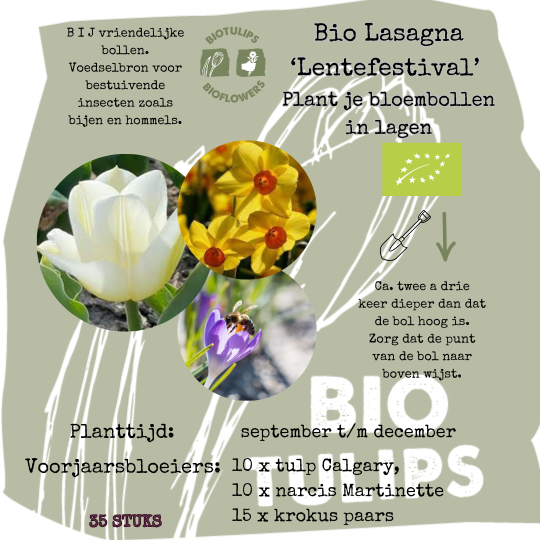 Bio Bloembollenlasagne 'Lentefestival' - 35 stuks